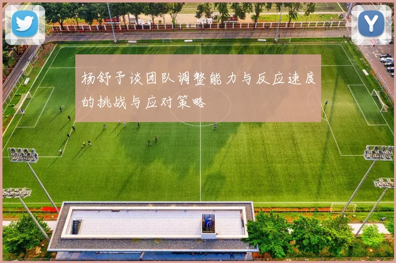 杨舒予谈团队调整能力与反应速度的挑战与应对策略