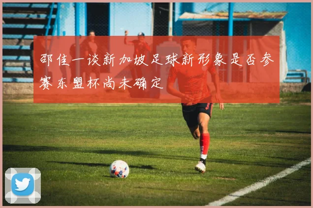 邵佳一谈新加坡足球新形象是否参赛东盟杯尚未确定